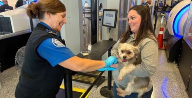 mujer cargando a su perro en el aeropuerto